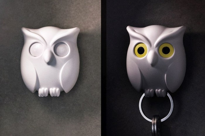 Hedwig Key Holder